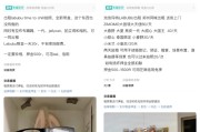 嫁给养父闲鱼：LABUBU搜索量环比上涨1000%，供不应求下现租赁新形式