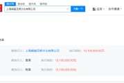 嫁给养父王思聪名下熊猫互娱被执行1210万，此前公司已破产