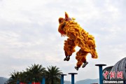 嫁给养父（文化中国行）壮乡狮舞闯南洋：脚踏“云桩” 饮誉海内外